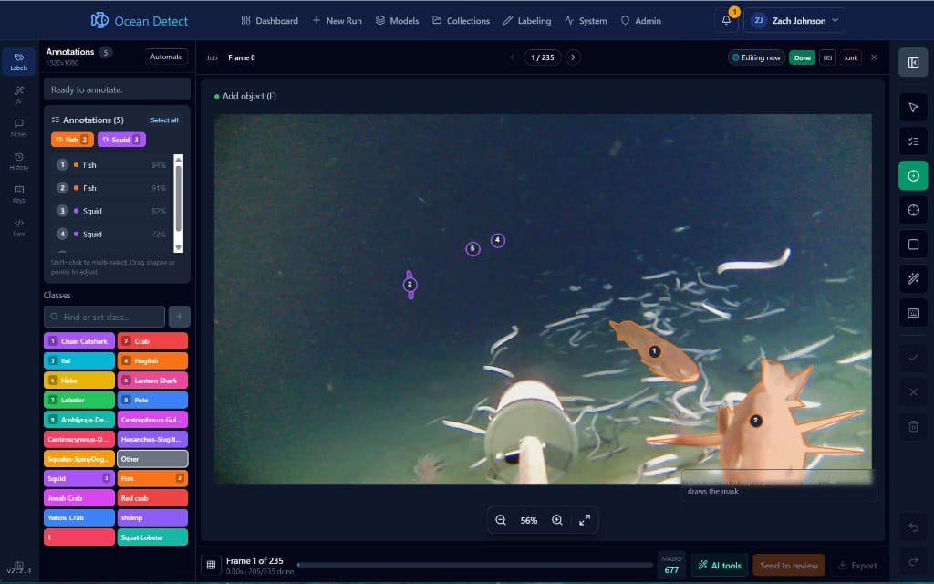 OceanDetect labeling editor showing marine-life masks and classification controls